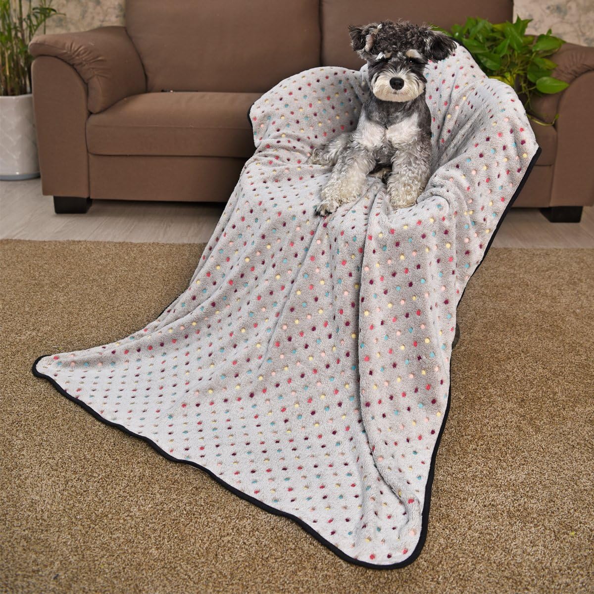 PAWZ Road Pet Dog Blanket Fleece Fabric Soft and Cute Grey L : Pet Supplies