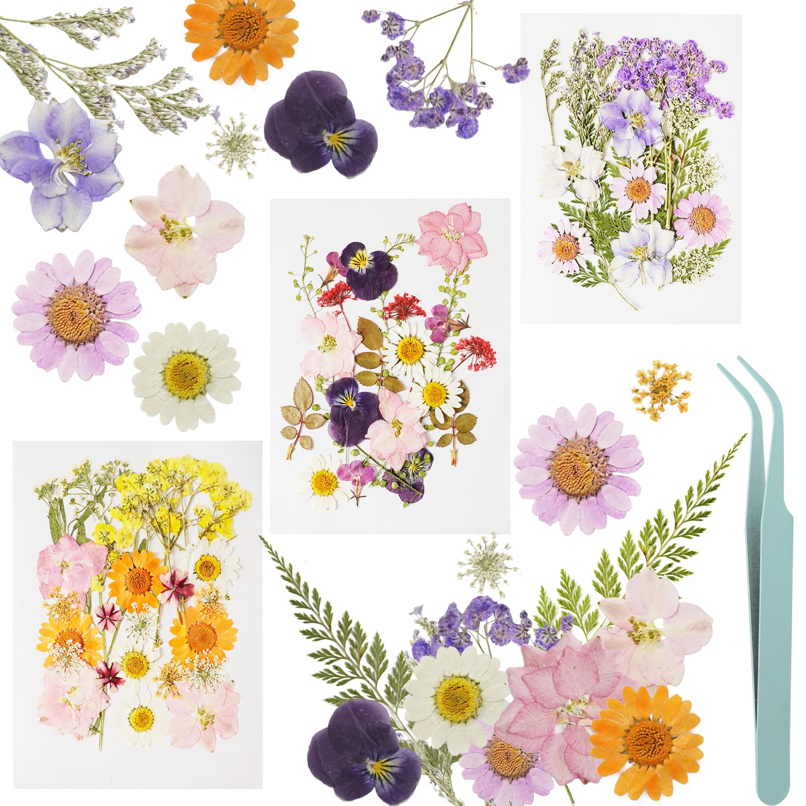 KATIMI 66 Pieces Colorful Dried Flowers for Crafts, DIY Natural Dried Pressed Flowers, Real Dried Flowers for Resin Cakes with Elbow Clamp, for Scrapbooking DIY Candle Resin Jewelry Crafts