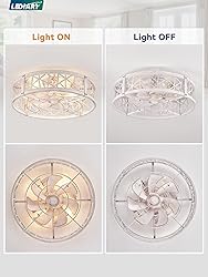 LEDIARY 20" Caged Ceiling Fan with Light, Small