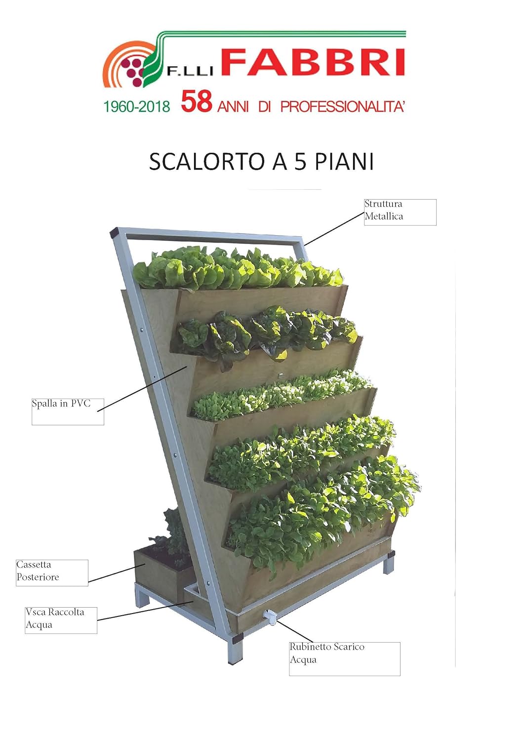 scalorto: Amazon.es: Jardín