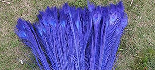 Amazon Com Ruichy 50 Pcs Home Decor Peacock Feather Great Party