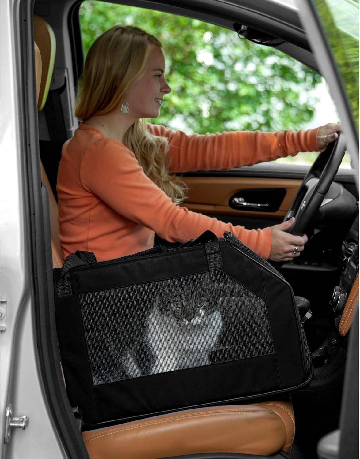 Pet Gear Signature Pet Car Seat & Carrier for Cats and Dogs up to 20-pounds, Aqua : Automotive Pet Safety Products : Pet Supplies
