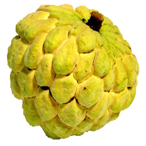 amazon com benefits of custard apple appstore for android benefits of custard apple