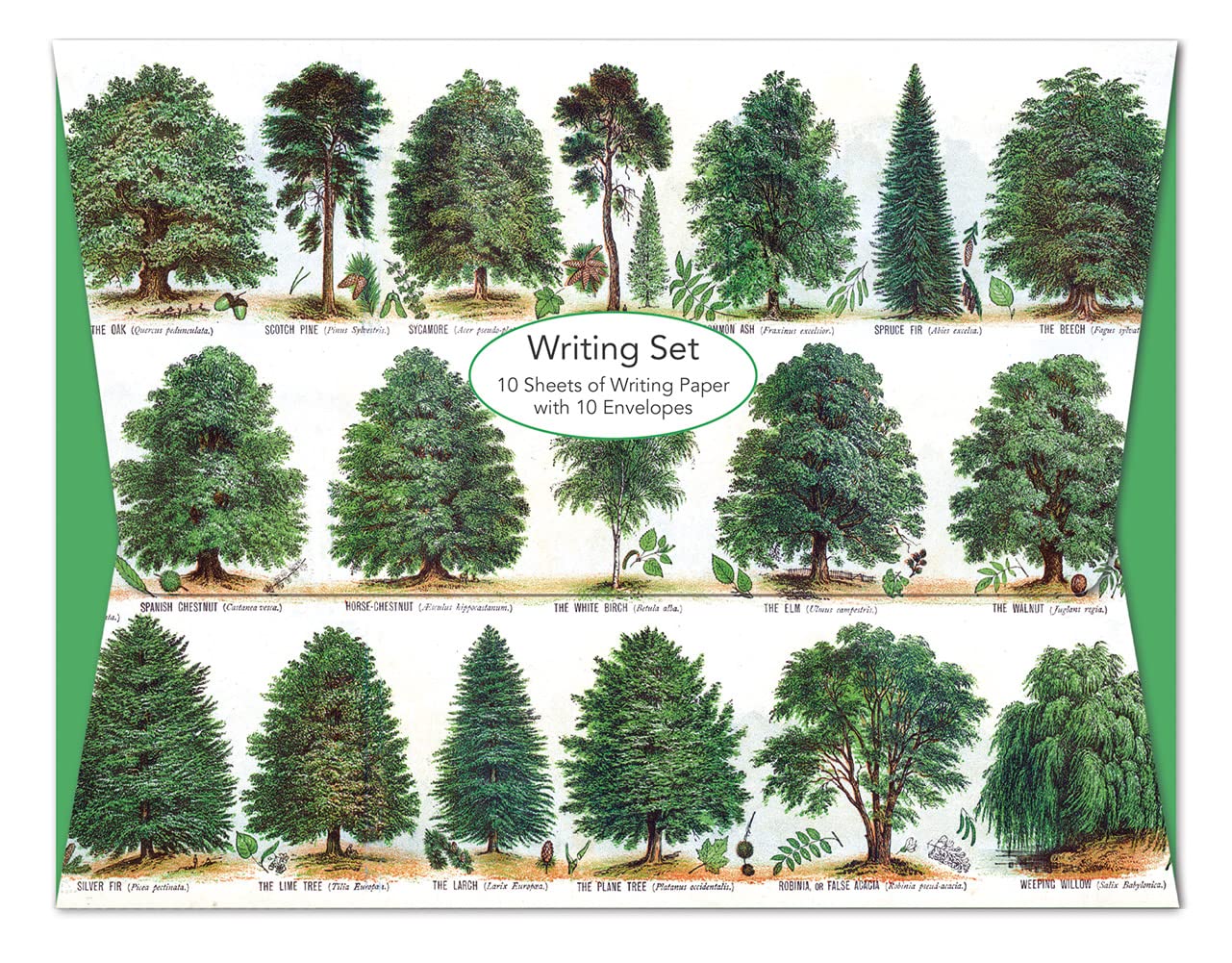 Museums & Galleries Writing Sets (Our British Forest Trees) PW061