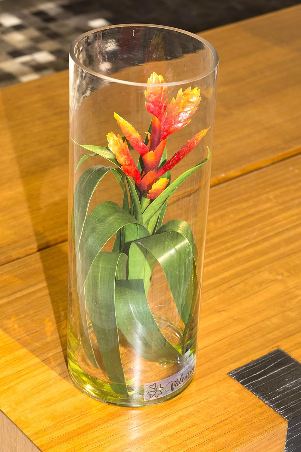 Amazon Com By Valentim Bromeliad Arrangement Handcrafted In Cylinder Glass Vase Kitchen Dining