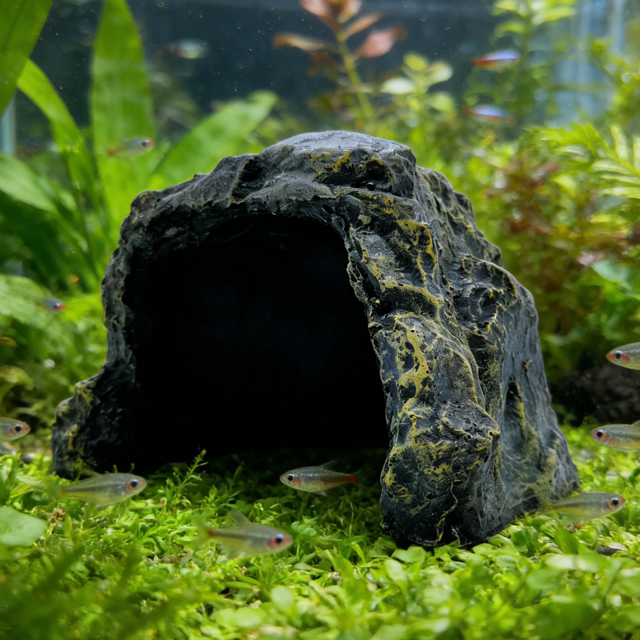 M2cbridge Reptile Hideout Cave Resin Rock Hides Terrarium Habitat Decor(Rock)