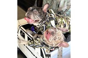 PQIQP “The Puppy Fans”Waterproof Dog Jacket for Small Medium Dog Puppy Raincoat with Hoodie Dog Winter Coat Windbreaker (Camouflage, XL)