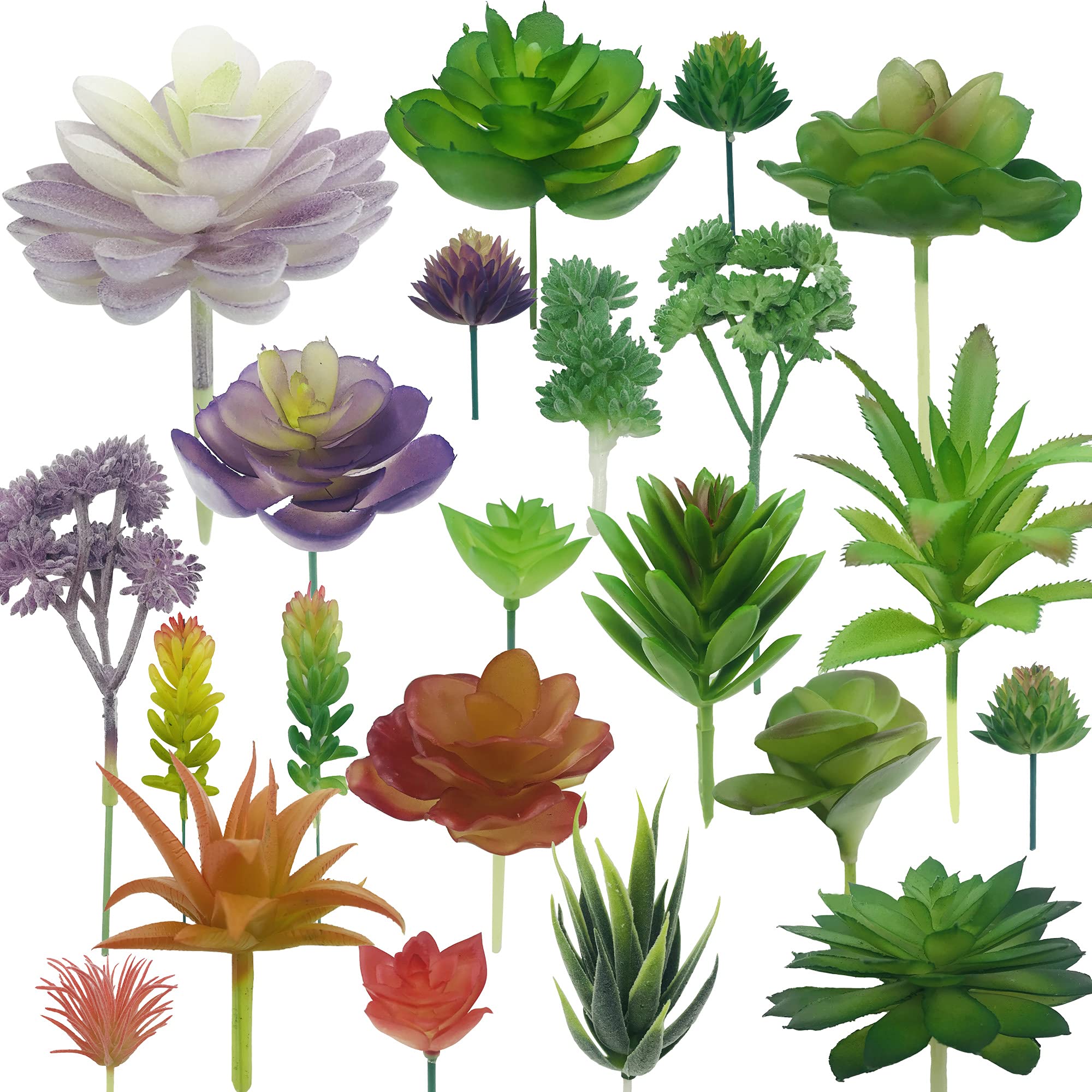 NA Woohome 34 PCS Artificial Succulents Picks Set, 24 PCS Mixed Color Artificial Succulent Plants and 10 PCS Simulation Ladybug for Faux Succulents Floral Arrangement, Home Decoration