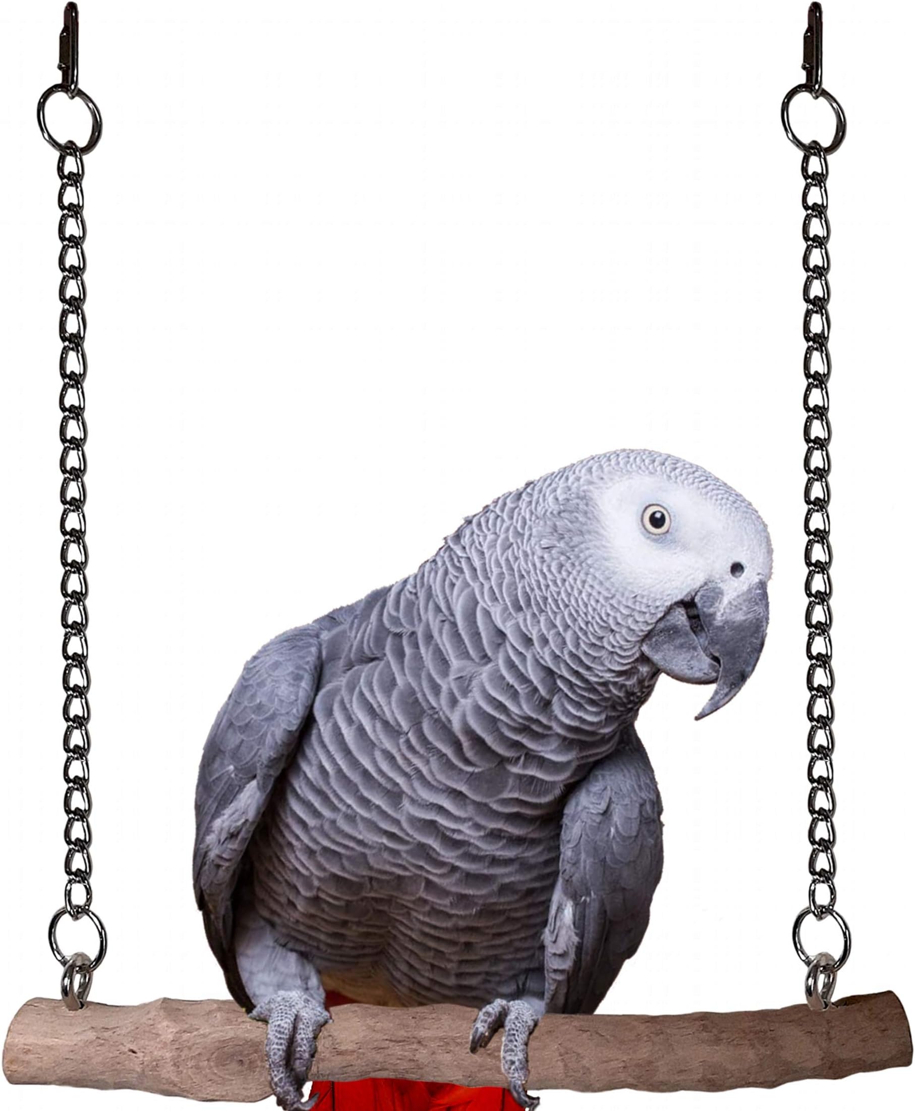 CraftMaven Coffeewood Bird Swing - 100% Natural Wood Cage Accessories for Medium to Large Pet Birds - Real Wooden Branch with Safe Metal Fixtures - Cozy and Decorative Hanging Playground and Perch