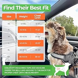 Joyride Basic Essential Dog Harness 1.0