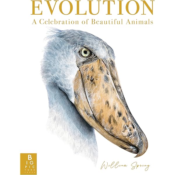 Birds : The Art of Ornithology　絶滅鳥 Birds: The Art of Ornithology: Elphick, Jonathan: 9780565095512