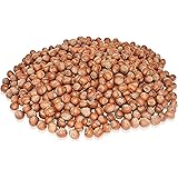 Anna and Sarah Large Oregon Hazelnuts in Shell, 5 Lbs