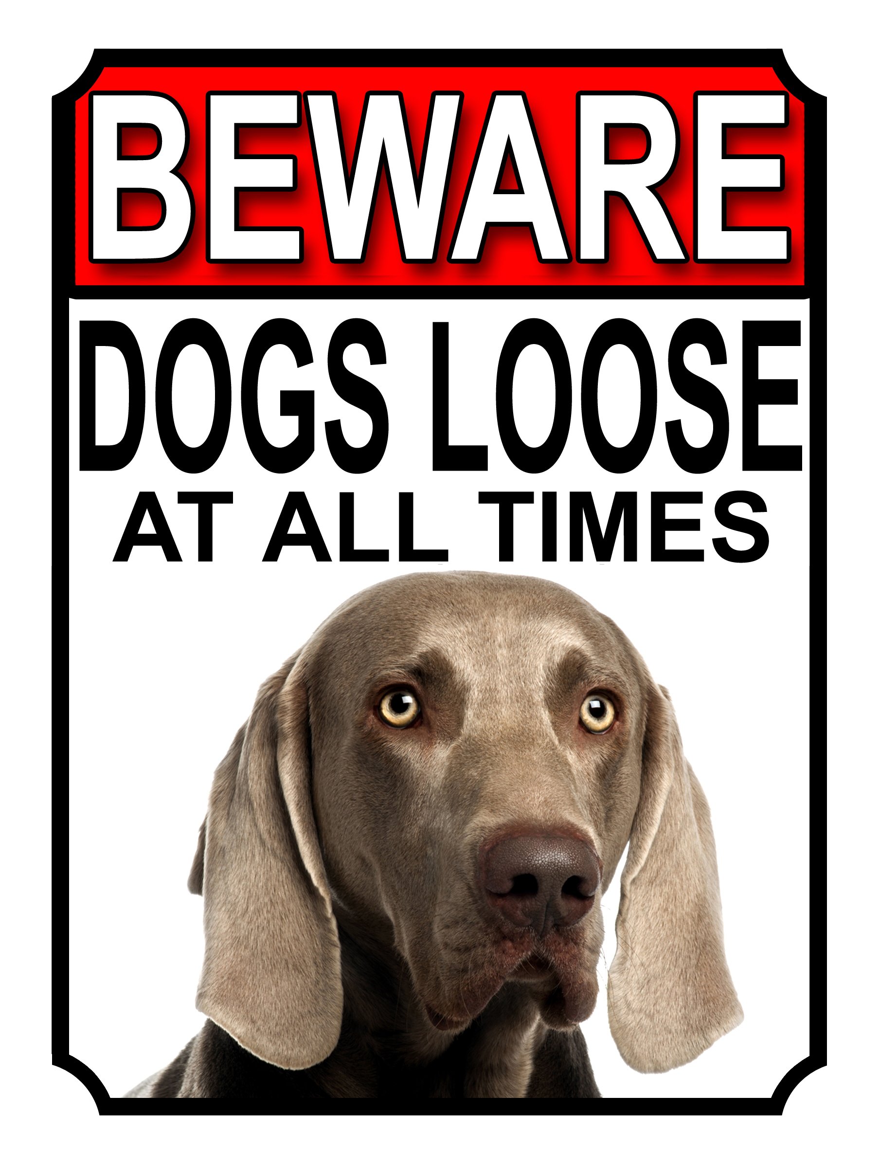 BEWARE DOGS LOOSE AT ALL TIMES METAL SIGN WEIMARANER 200MM X 150MM (1026H1)