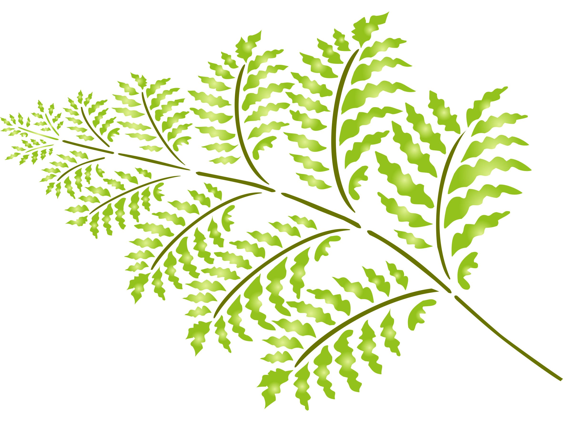 Fern Stencil - 23 x 30.5cm (L) - Reusable Large Leaf Plant Frond Wall Stencil Template