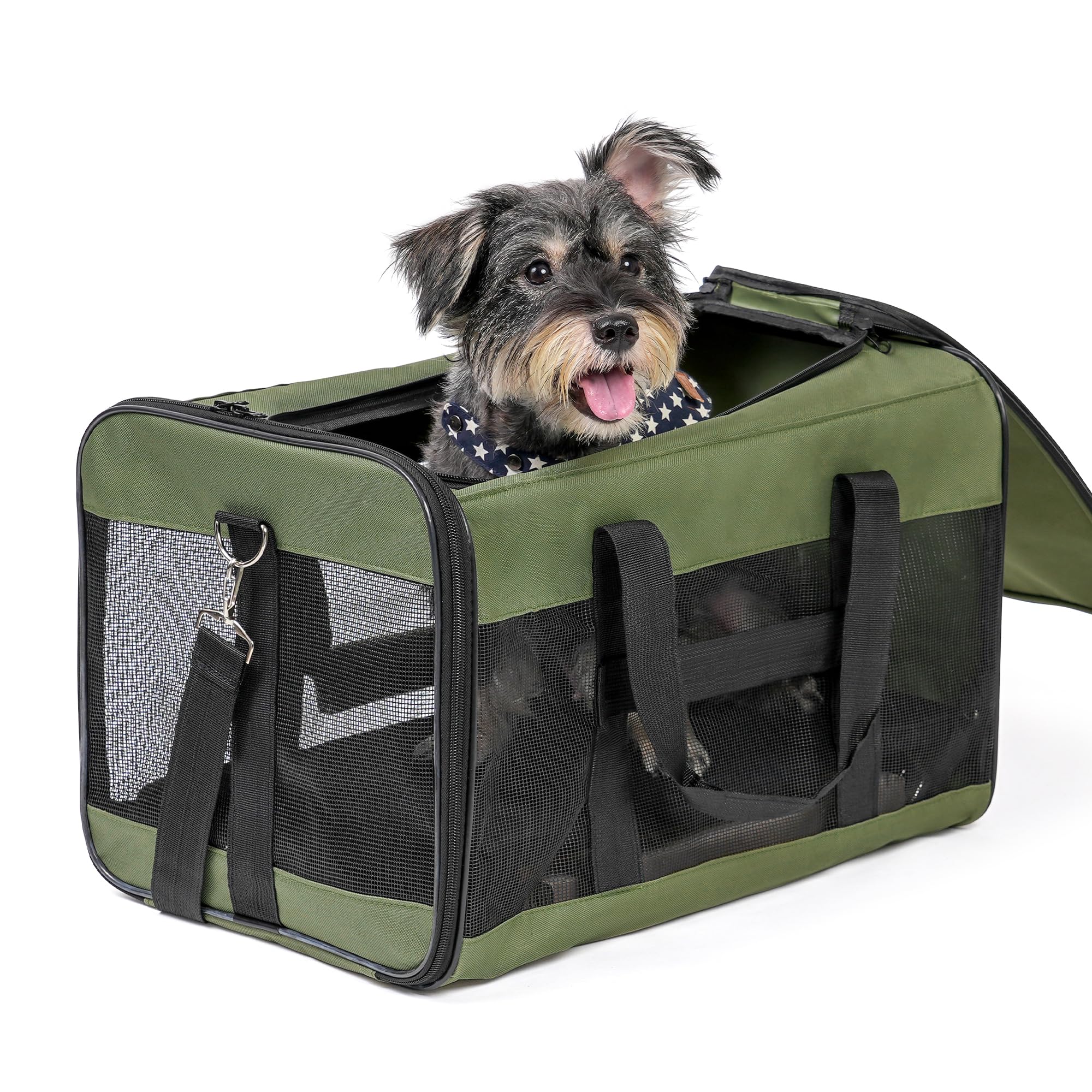 HITSLAM Pet Carrier Dog Carrier Soft Sided Pet Travel Carrier for Cats, Small dogs, Kittens or Puppies, Collapsible, Durable, Travel Friendly Green (L)
