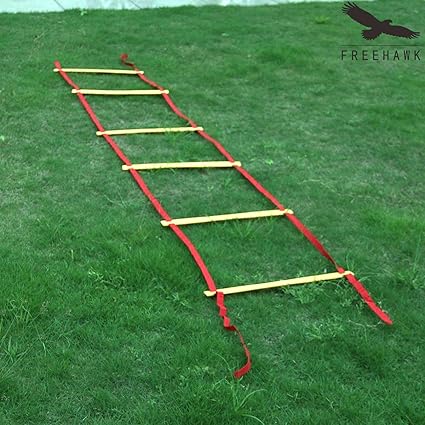 footwork ladder walmart