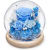 FIACO Preserved Rose Birthday Gift for Women Forever Fresh Flowers for Prime Delivery Gift for Mom Grandma Wife Valentines Mothers Day Christmas Anniversary Eternal Roses in Glass Dome