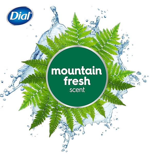DIAL ANTIBACTERIAL BAR SOAP, REFRESH & RENEW, MOUNTAIN FRESH, 4 OZ, 32 BARS