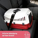 Kerbl Pet Transport Box Expedion 45x30x30 cm with Plastic Door Creme Bordeaux view 4