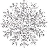 EVER FAITH Austrian Crystal Winter Snowflake Flower Star Elegant Brooch Pin Clear