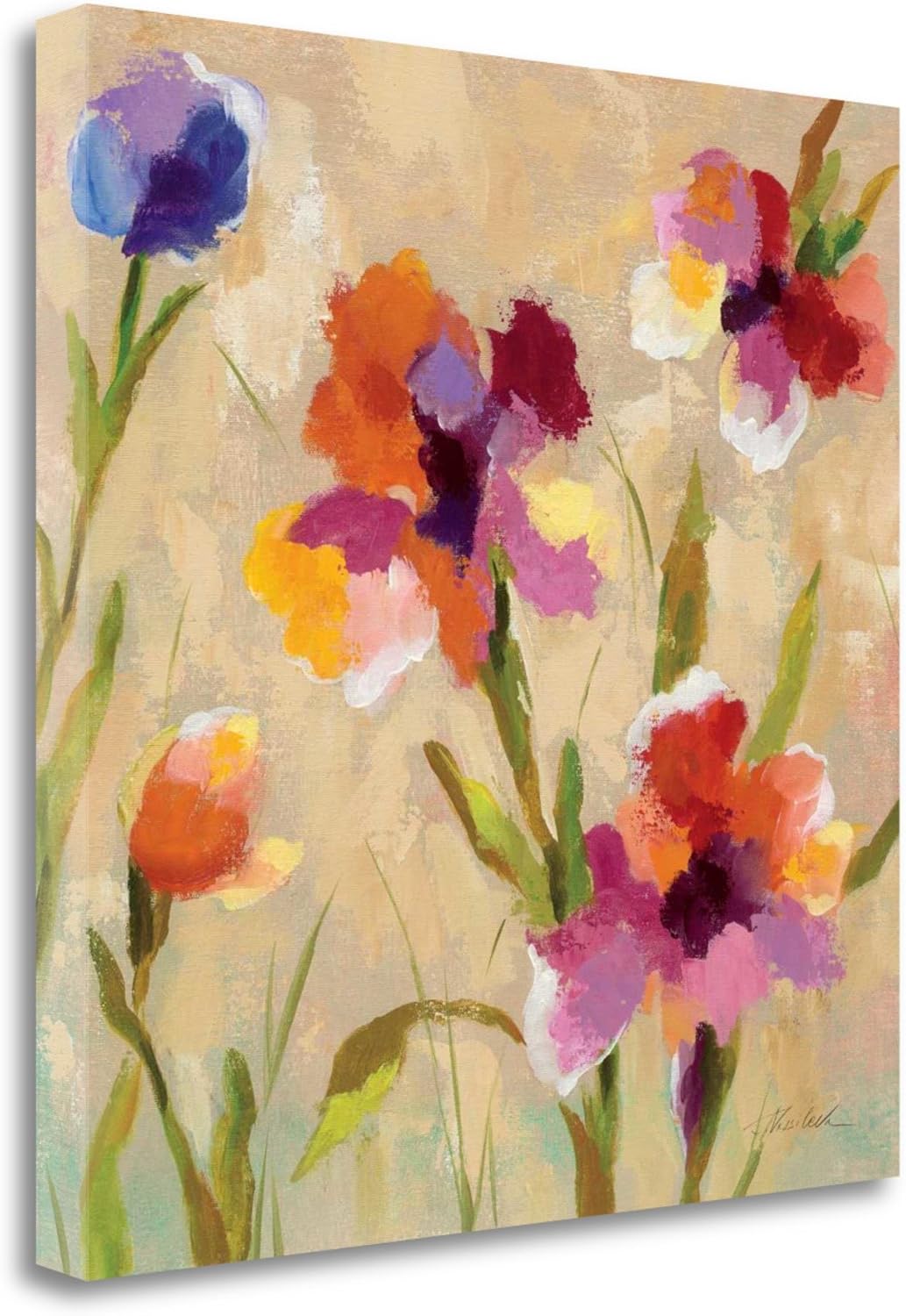 Amazon Com Bold Bright Flowers Iii By Silvia Vassileva Fine Art Giclee Print On Gallery Wrap Canvas Ready To Hang Posters Prints