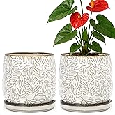 D'vine Dev 6 Inch Embossed Leaves Stoneware Planter Pot with Drainage Hole and Saucer, Smoked White, Set of 2, 27-F-X-1