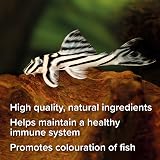 King British Catfish Pellets 200g Multi-Vitamin Sinking Food for Bottom-Feeders view 4