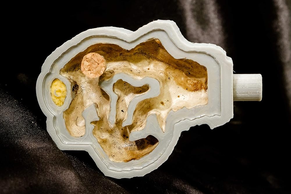 plaster formicarium
