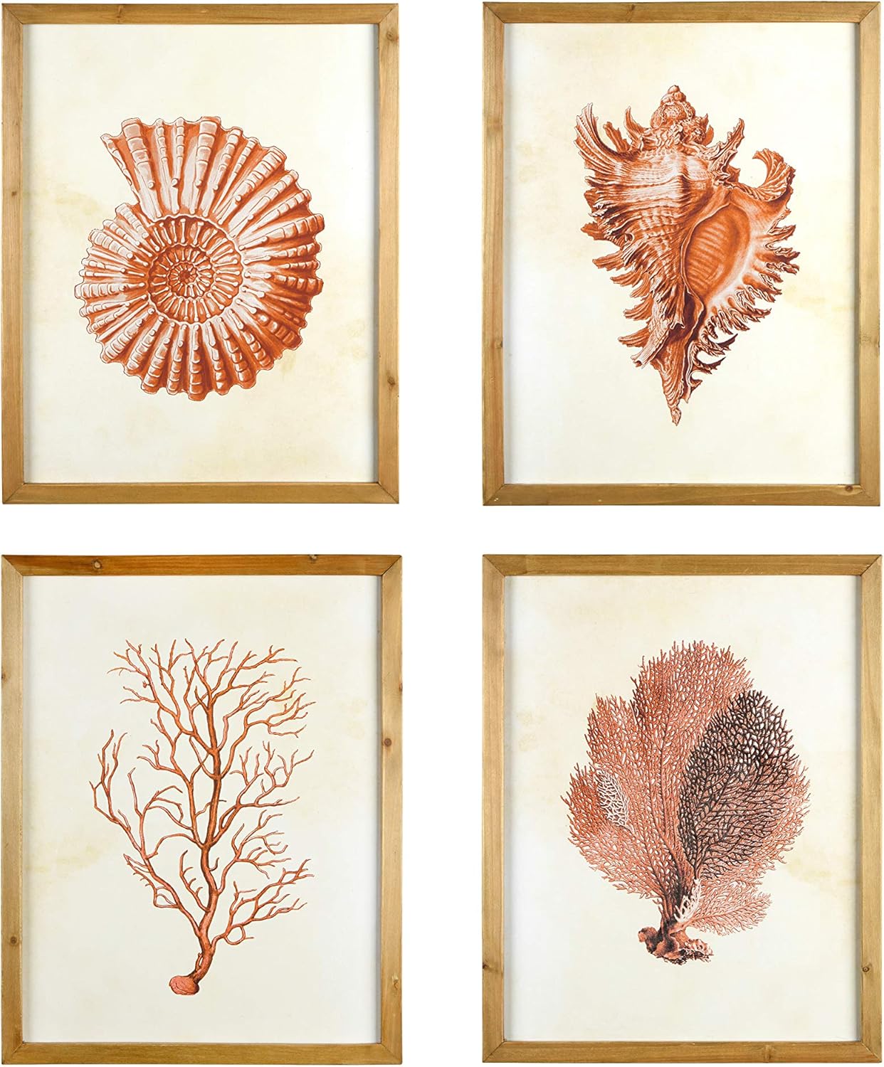 Creative Co-Op Wood Framed Art with Red Shells & Coral (Set of 4 Designs) Wall Decor