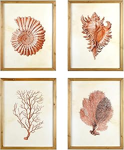 Creative Co-Op Wood Framed Art with Red Shells & Coral (Set of 4 Designs) Wall Decor
