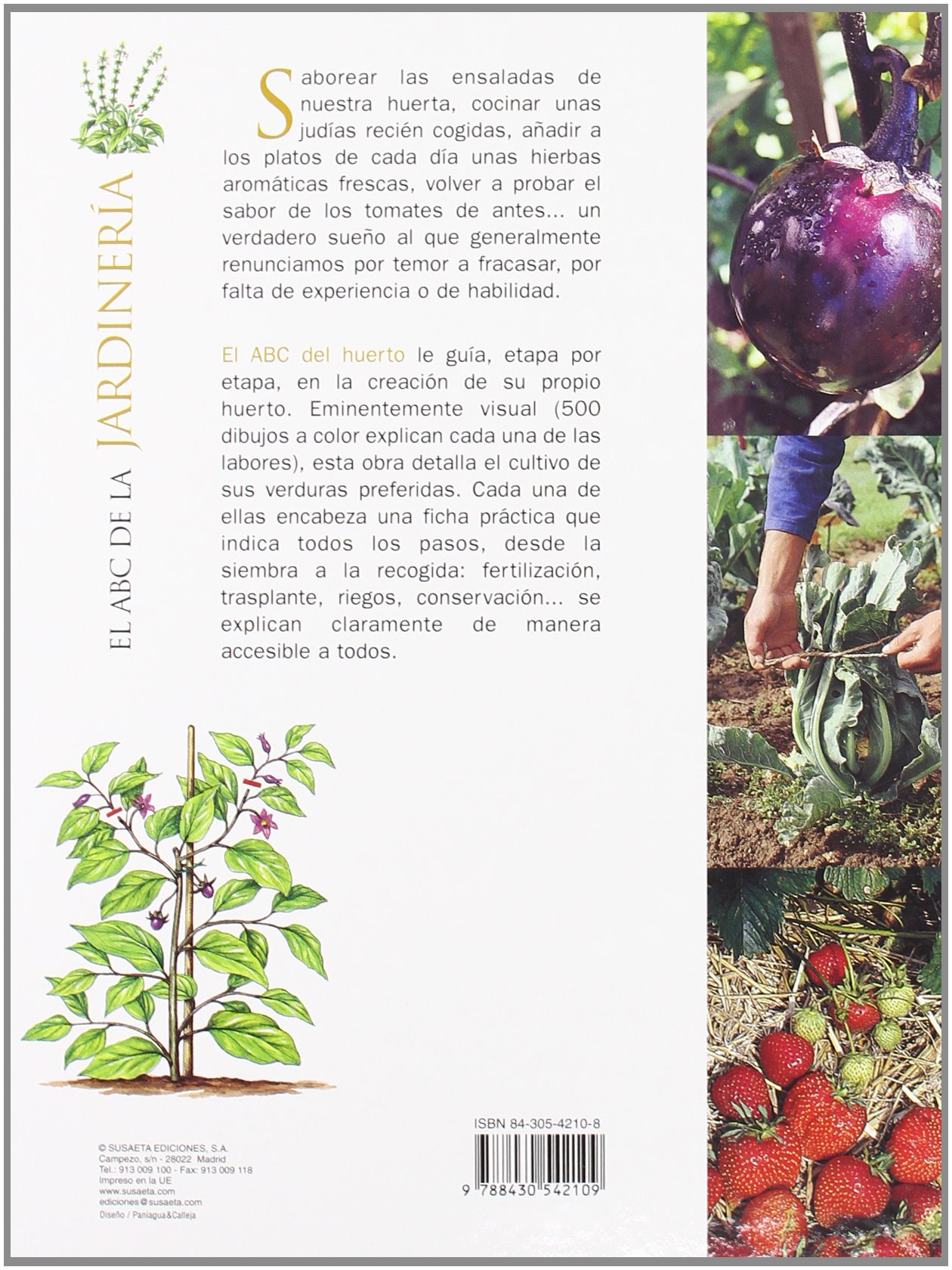 Abc Del Huerto Paso A Paso (El Abc De La Jardinería): Amazon.es ...