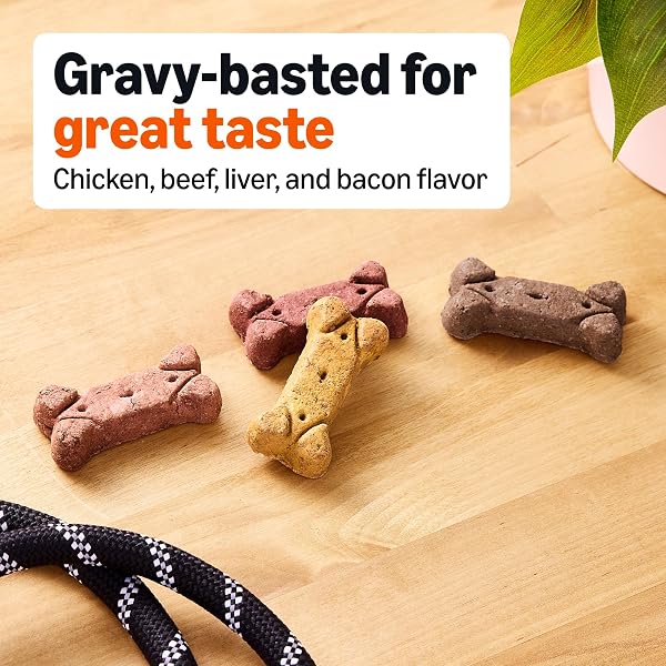 AMAZON BASICS CRUNCHY DOG BISCUITS GRAVY BASTED FLAVOR DOG TREATS 5 LB. BOX