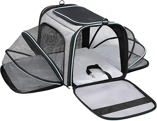 small soft sided pet carrier