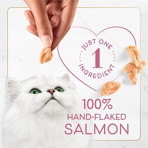 PURINA FANCY FEAST PURELY HAND-FLAKED SALMON CAT TREATS, REAL FISH, TENDER TEXTURE, 10 COUNT POUCH