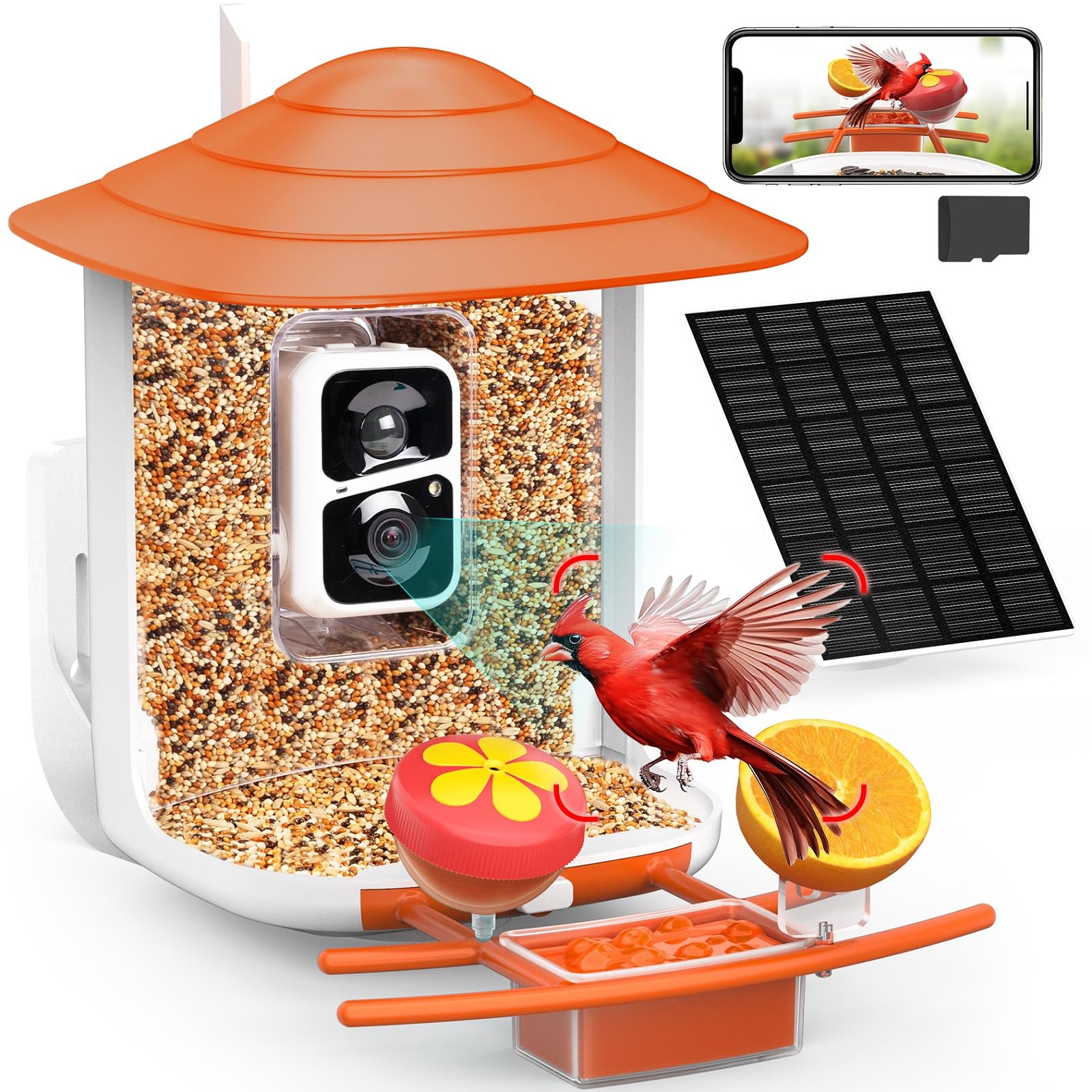 birdsnap® TUC- Bird Feeder with Camera 2K Live