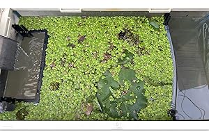HOZOE Floating Plant Fence for Aquarium, Separates Floating Plants, Automatically Adjusts Height with Water Level, Suitable for All Floating Plants and Most Aquariums.