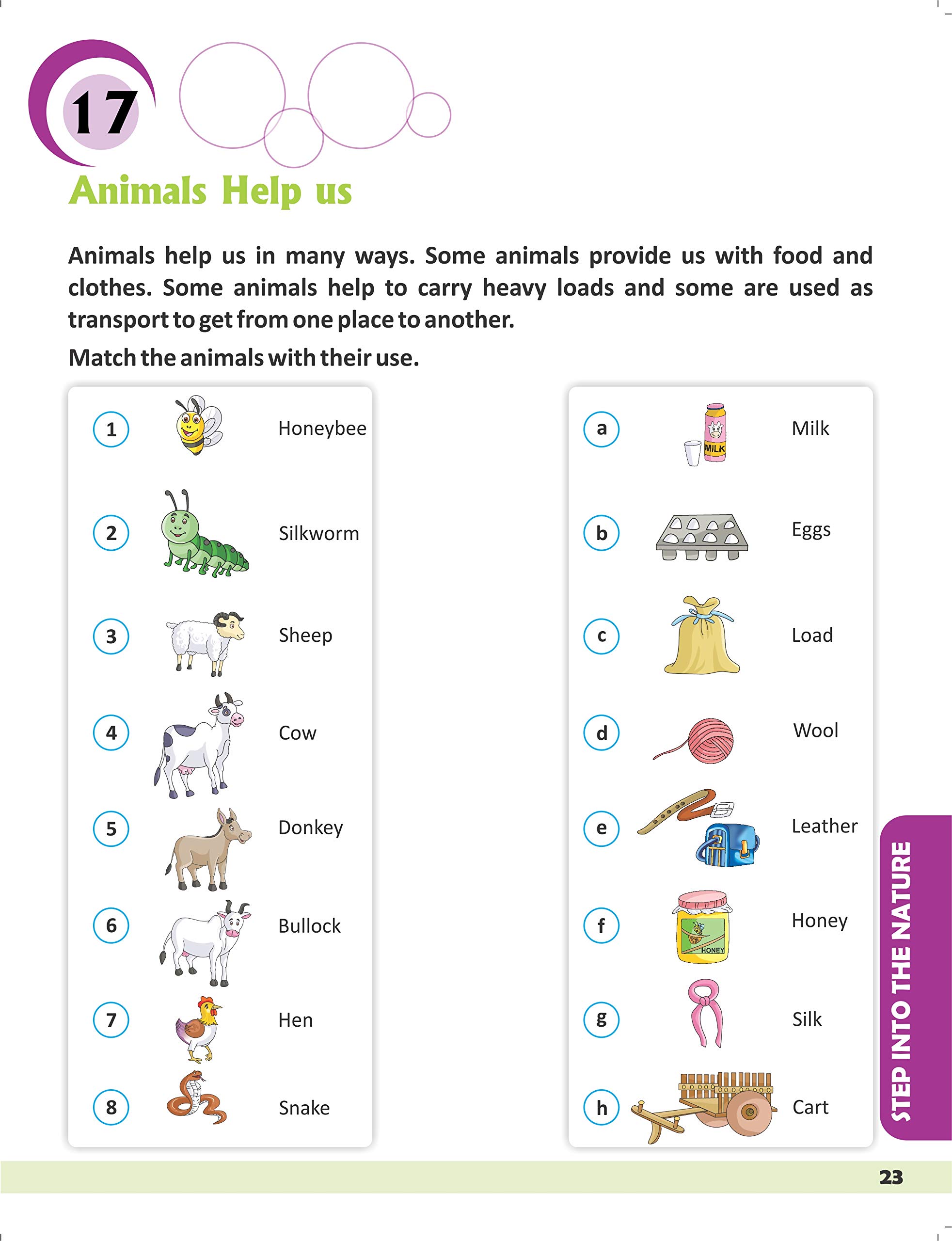 Gk Worksheets For Kids