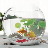 JeeMooTown 1.8KG White Decorative Stones 6-9mm for Plants Fish Tank view 5
