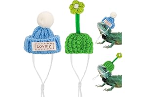 TOCCOOL 2 PCS Mini Pet Iguana Hat, Adjustable Elastic Chin Strap, for Small Pets Such as Lizards, Hamsters, Snakes, Birds (Blue & Green)