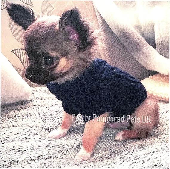 chihuahua clothes uk