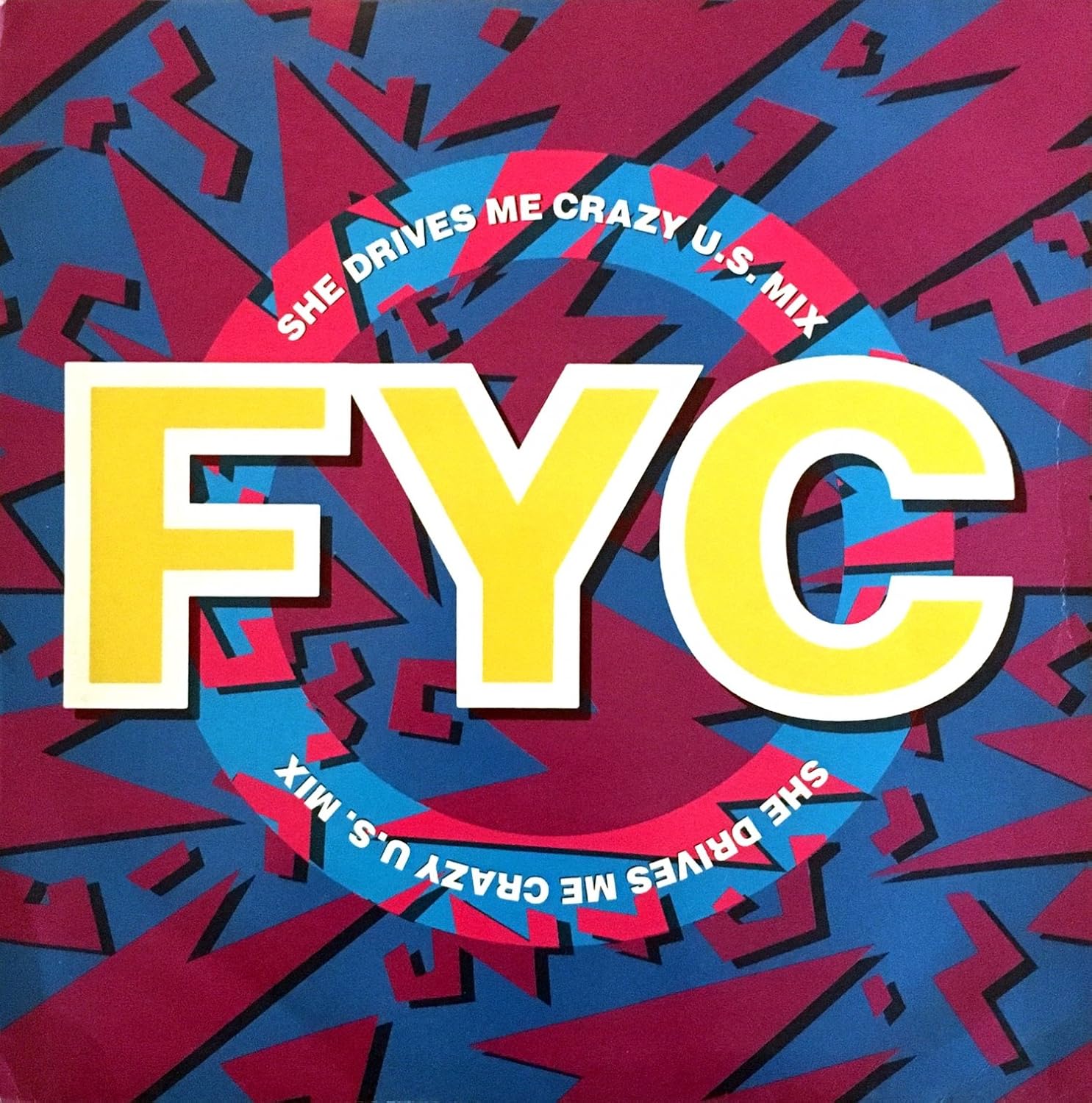 Fine Young Cannibals She Drives Me Crazy Traduzione