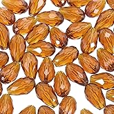 PATIKIL 10mm Faceted Glass Beads, 50 Pcs Brown Bicone Birthstone Bead Vertical Hole for DIY Crafting Bracelet Necklace Jewelry Making