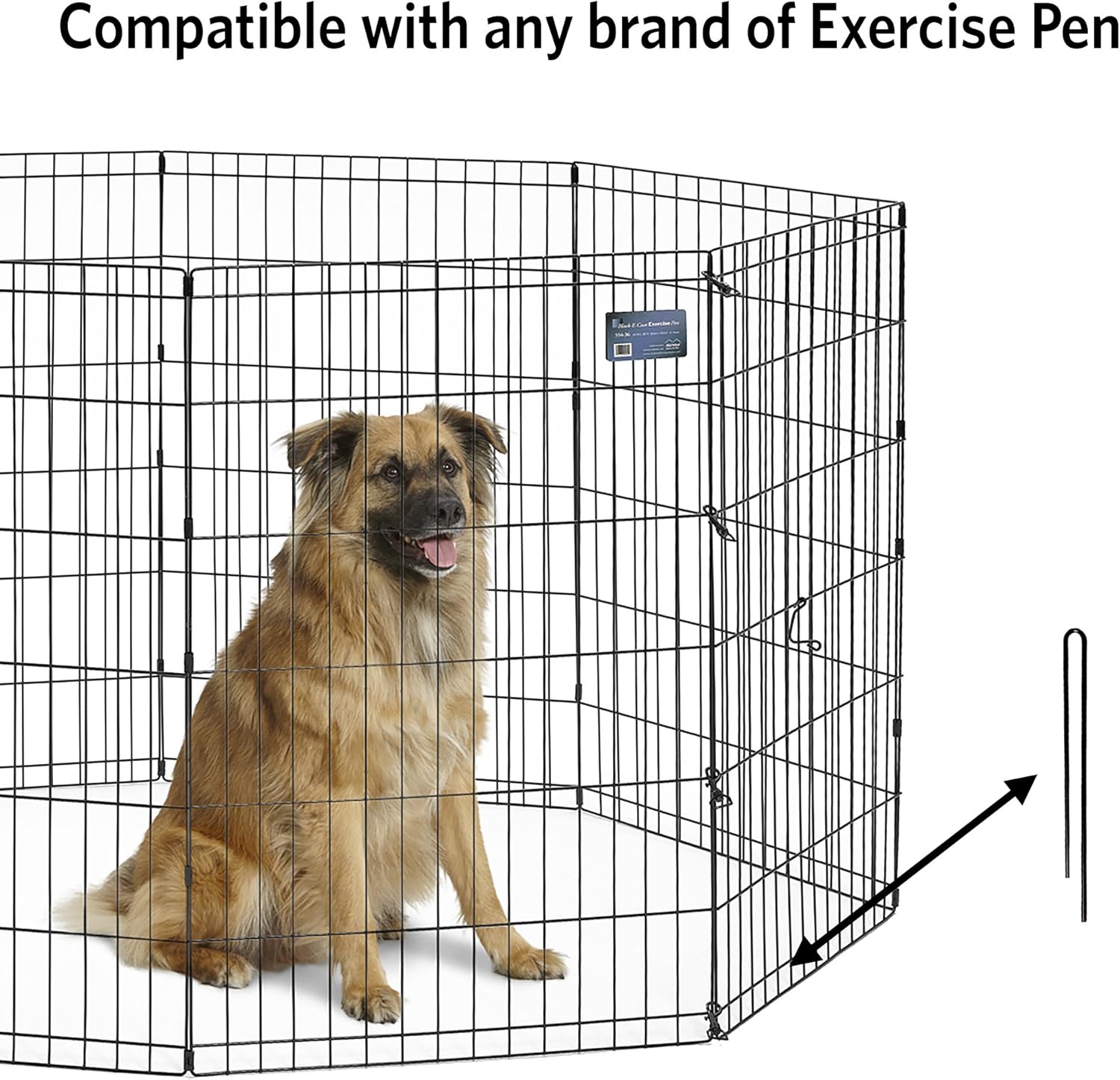 dog climbing out of pen