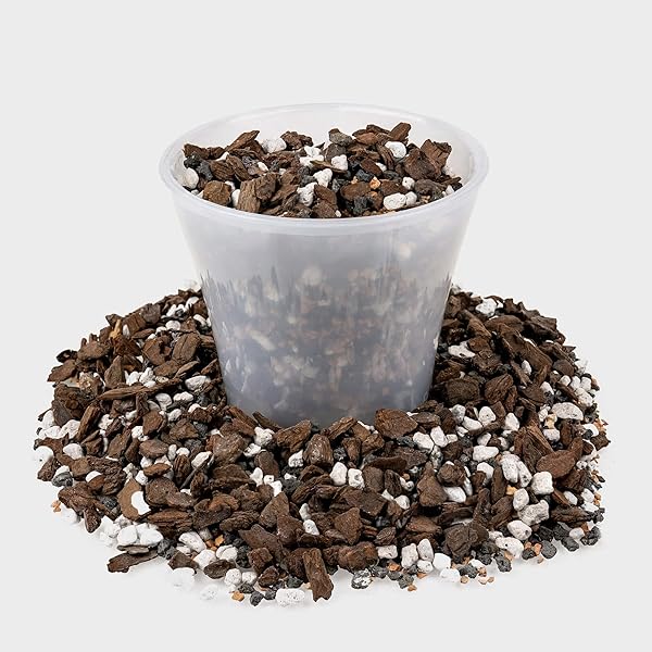 PREMIUM BONSAI SOIL ALL PURPOSE FAST DRAINING MIX – PUMICE, LAVA, CALCINED CLAY AND PINE BARK POTTING PRE MIXED BONSAI PLANT SOIL MIXTURE BY GARDENERA- MADE IN USA – (2 QUART BAG)