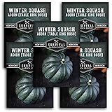 Table King Acorn Squash Seed for Planting - 5