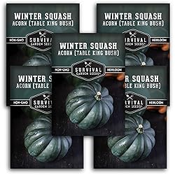 Table King Acorn Squash Seed for Planting - 5