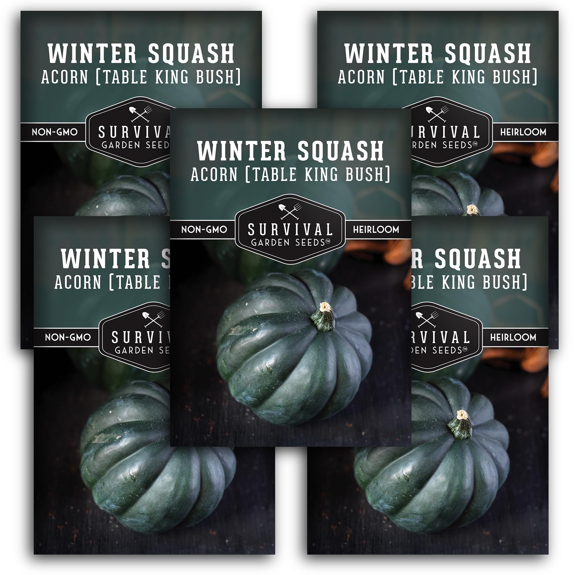 Table King Acorn Squash Seed for Planting - 5
