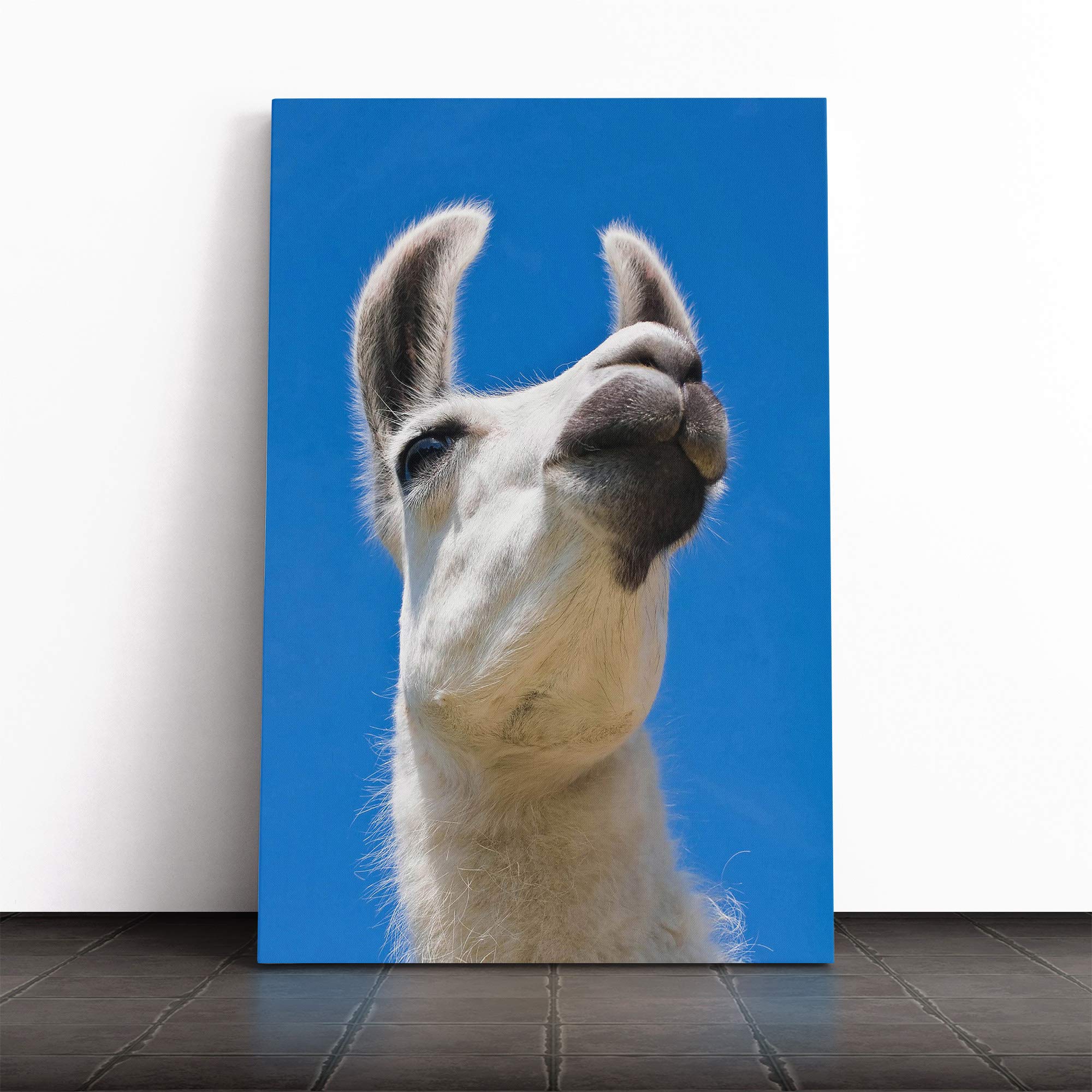 Camel Canvas Print | Gallery Wrapped 30mm Frame Wall Art | 20x14 inches | Ready to Hang | Modern Animal Picture | Living Room Bedroom Lounge Office