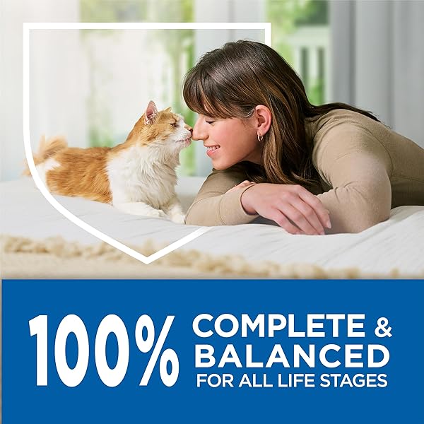 PURINA CAT CHOW COMPLETE HIGH PROTEIN DRY CAT FOOD WITH REAL SALMON – (PACK OF 4) 3.15 LB. BAGS