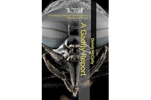 A Gadfly Report: Examining Unitarian Universalism's Reactionary Fringe